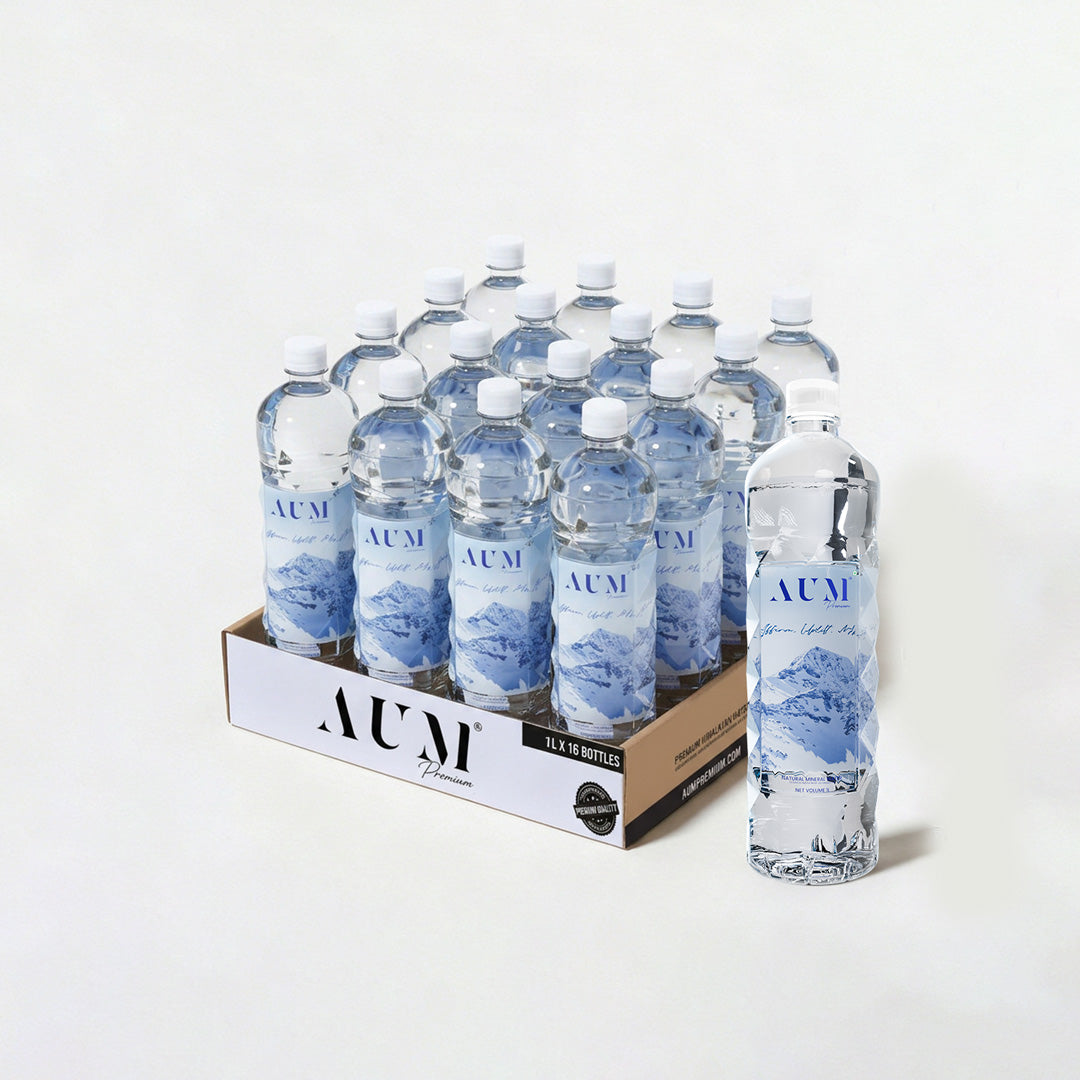 AUM Premium Naturally Alkaline Himalayan Spring Water– 1L Pack of 16 Bottles