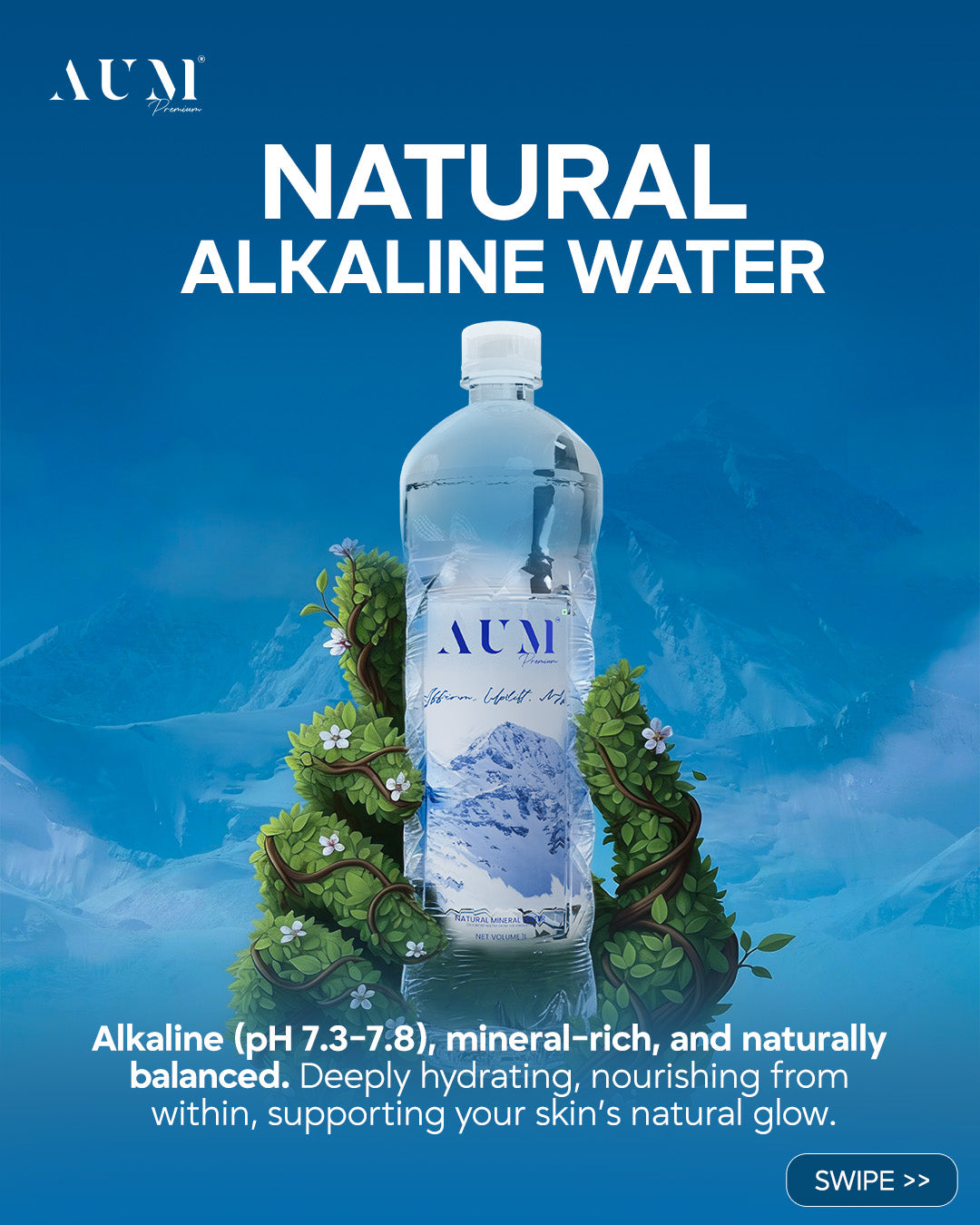 AUM Premium Value Pack – 240 × 250ml